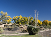 Aztec Ruins NM